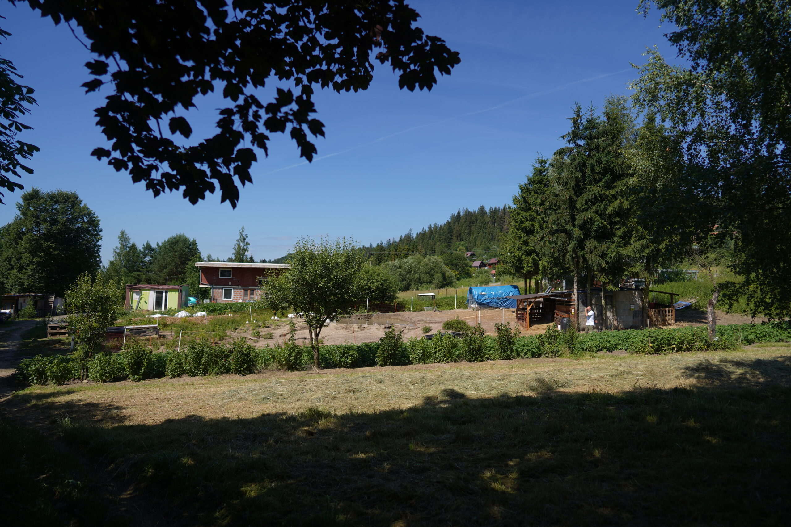 DSC07824
